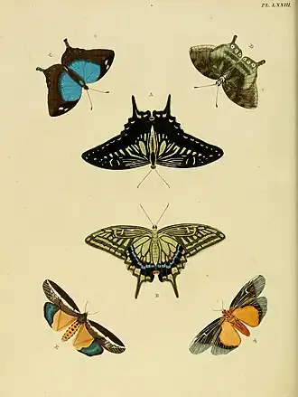 Description de l'image Cramer&Stoll-uitlandsche kapellen vol. 1- plate 073.jpg.