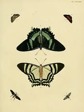 Description de l'image Cramer&Stoll-uitlandsche kapellen vol. 1- plate 083.jpg.