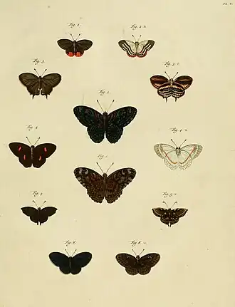 Description de l'image CramerAndStoll-uitlandsche kapellen supplement- pl. 05.jpg.