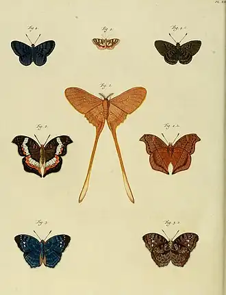 Description de l'image CramerAndStoll-uitlandsche kapellen supplement- pl. 27.jpg.