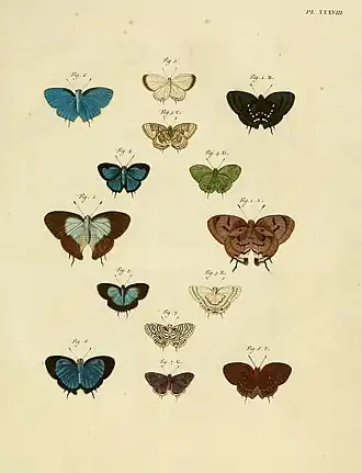 Description de l'image CramerAndStoll-uitlandsche kapellen supplement- pl. 38.jpg.