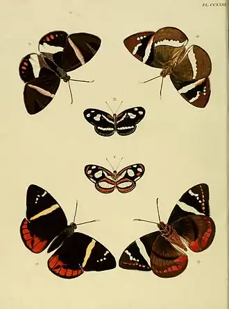 Description de l'image CramerAndStoll-uitlandsche kapellen vol. 3- pl 223.jpg.