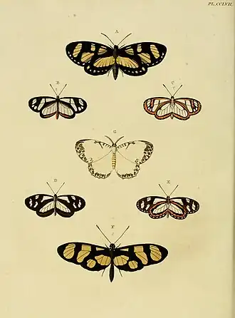 Description de l'image CramerAndStoll-uitlandsche kapellen vol. 3- pl 257.jpg.