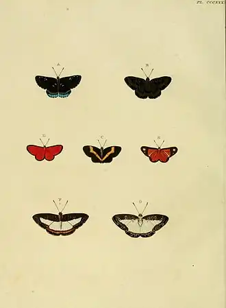 Description de cette image, également commentée ci-après