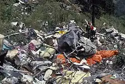 Photographie des débris dispersés dans la nature.