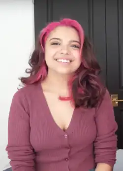 Description de l'image Cree Cicchino Vlogbrothers.png.