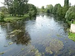 La rivière Creuse en direction de Tournon-Saint-Pierre en 2011.
