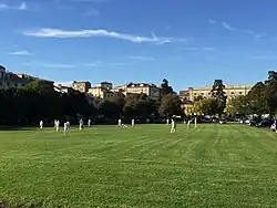 Partie de cricket sur la pelouse.