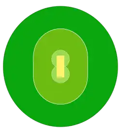 Terrain de cricket. La bande marron au centre de celui-ci représente le pitch.