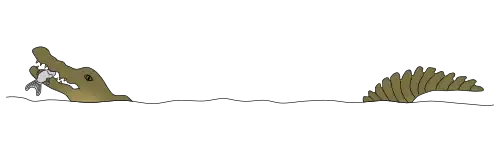 Dessin schématique montrant la tête et la queue émergeant de l'eau