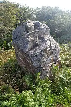 Menhir de Kerrelot