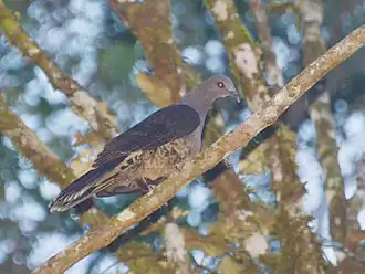 Description de cette image, également commentée ci-après