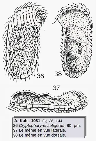 Description de cette image, également commentée ci-après