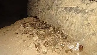 Tessons de bouteilles.