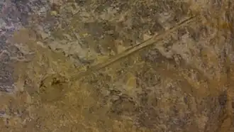 Forage à poudre noire.