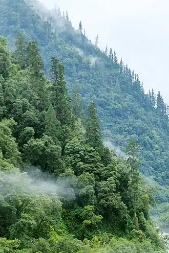 Description de cette image, également commentée ci-après