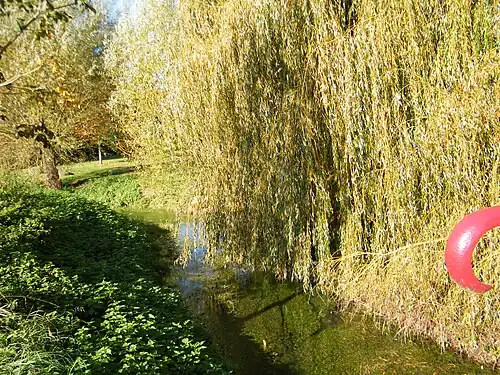L'Ingon, vue du pont.
