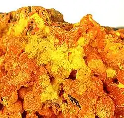 bel échantillon minéral orange vif (francevillite) rehaussé de jaune d'or (curiénite). Dimension de l'échantillon complet : 7.7 x 6.4 x 3.7 cm