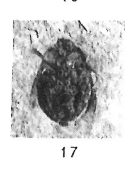 Description de cette image, également commentée ci-après