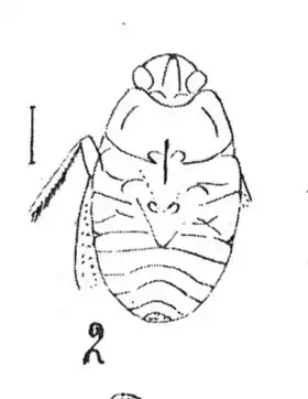 Description de cette image, également commentée ci-après