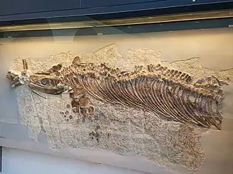 Description de cette image, également commentée ci-après