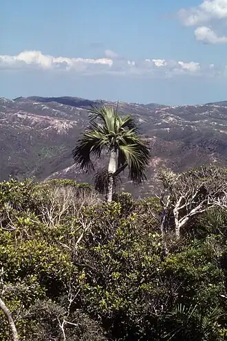 Description de cette image, également commentée ci-après