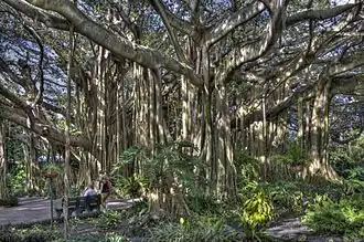 La section Cypress Gardens