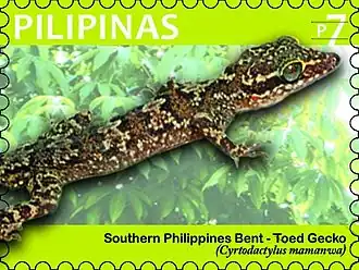 Description de l'image Cyrtodactylus mamanwa 2011 stamp of the Philippines.jpg.