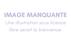 Image illustrative de l’article Sarah-Lou Cohen