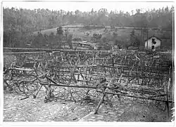 Défenses allemandes devant la Vesle.
