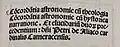 Détail d'une Rubrication dans Concordantia Astronomiae, texte imprimé de 1490.