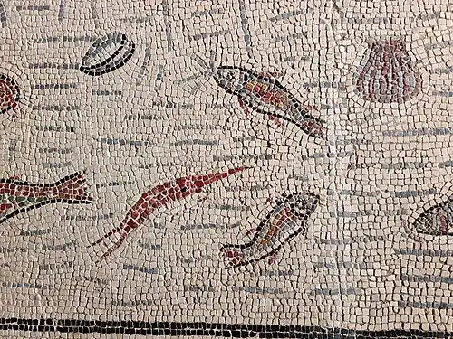 Détails de coquillages, poissons et gammare.