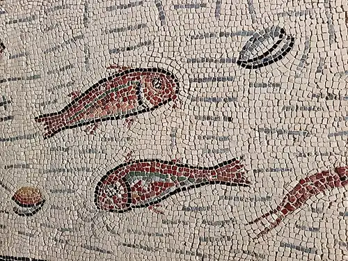 Détails de rougets.