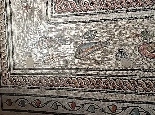 Détail de poissons et illustration de manques dans la mosaïque.