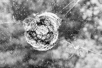 Trace de tir (vandalisme) dans la Sondermunitionslager Dülmen-Visbeck&nbsp;(de), Allemagne. Septembre 2022.