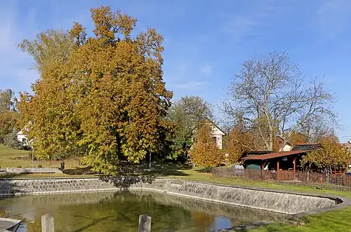 Étang au centre du village.