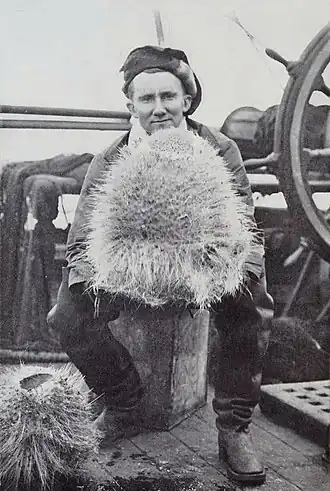 Le zoologiste Denis Gascoigne Lillie avec des éponges siliceuses sur le Terra Nova, 1911.