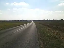 Une route droite jusqu'à l'horizon dans un paysage de champs ouverts