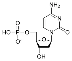 Désoxycytidine monophosphate