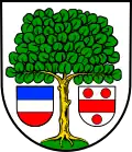 Blason de Ellerstadt