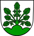 Blason de Haslach im Kinzigtal