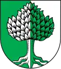 Blason de Holzheim
