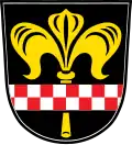 Blason de Pielenhofen