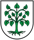 Blason de Schutterwald