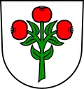 Blason de Schwarzach
