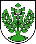 Blason de Struppen