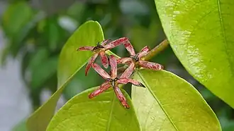 Description de cette image, également commentée ci-après