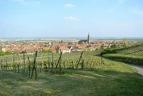 Vue sur le village de Dambach-la-Ville depuis la chapelle Saint-Sébastien.