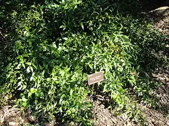 Description de cette image, également commentée ci-après