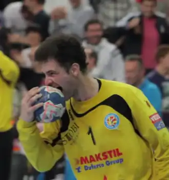 Image illustrative de l’article Darko Stanić